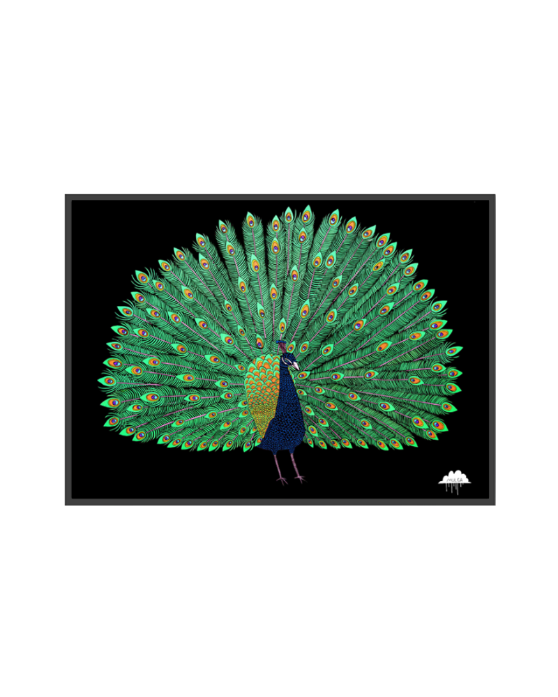 Prongor the Peacock