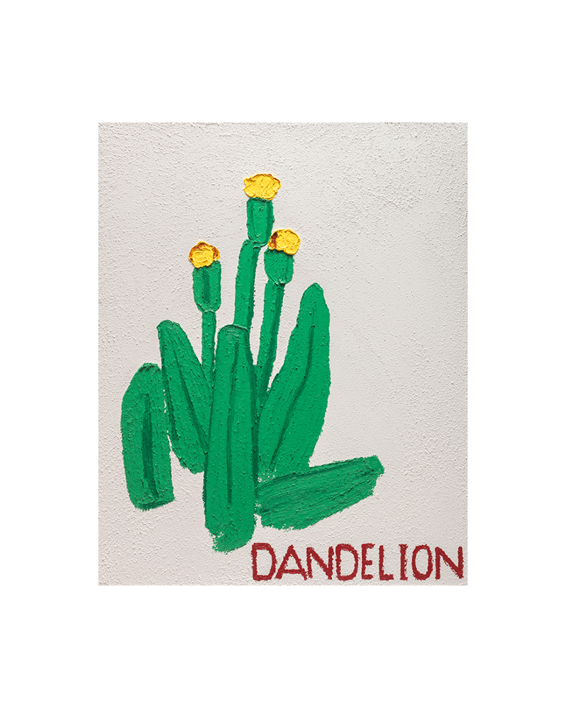 Dandelion, 2022